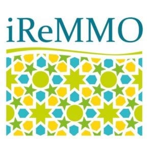 logo iReMMo