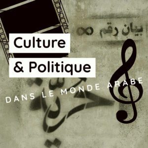 Culture et politqiue visuel