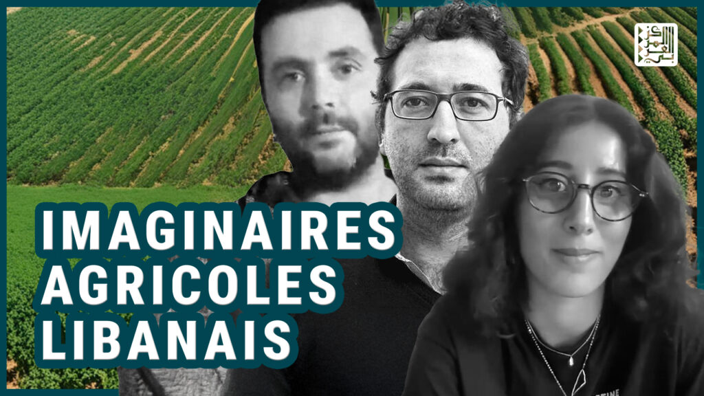 vignette webinaire agriculture Liban