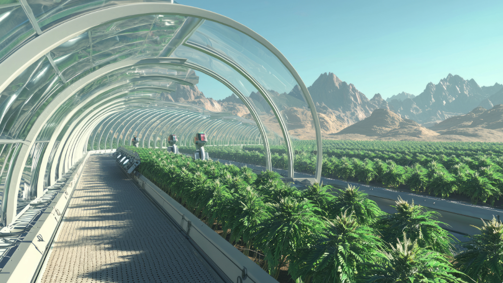 illustration agriculture f